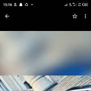 ��������, 31 ���, �����-���������