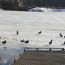 ���� ������, ���������, 58 ��� - ��������� 24 ����� 2026 � ������ ������ ��������