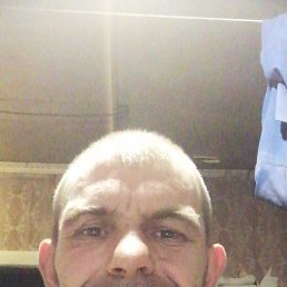 , 38, 