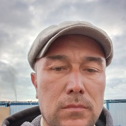 , 44, 