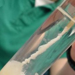 Daniel Jose, �������, 25 ���