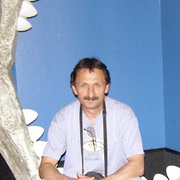 ������, �����������, 65 ���