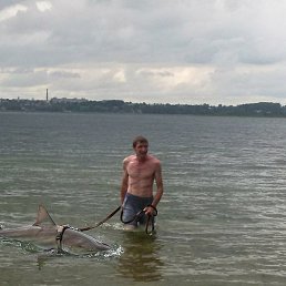 �����, ������, 52 ����