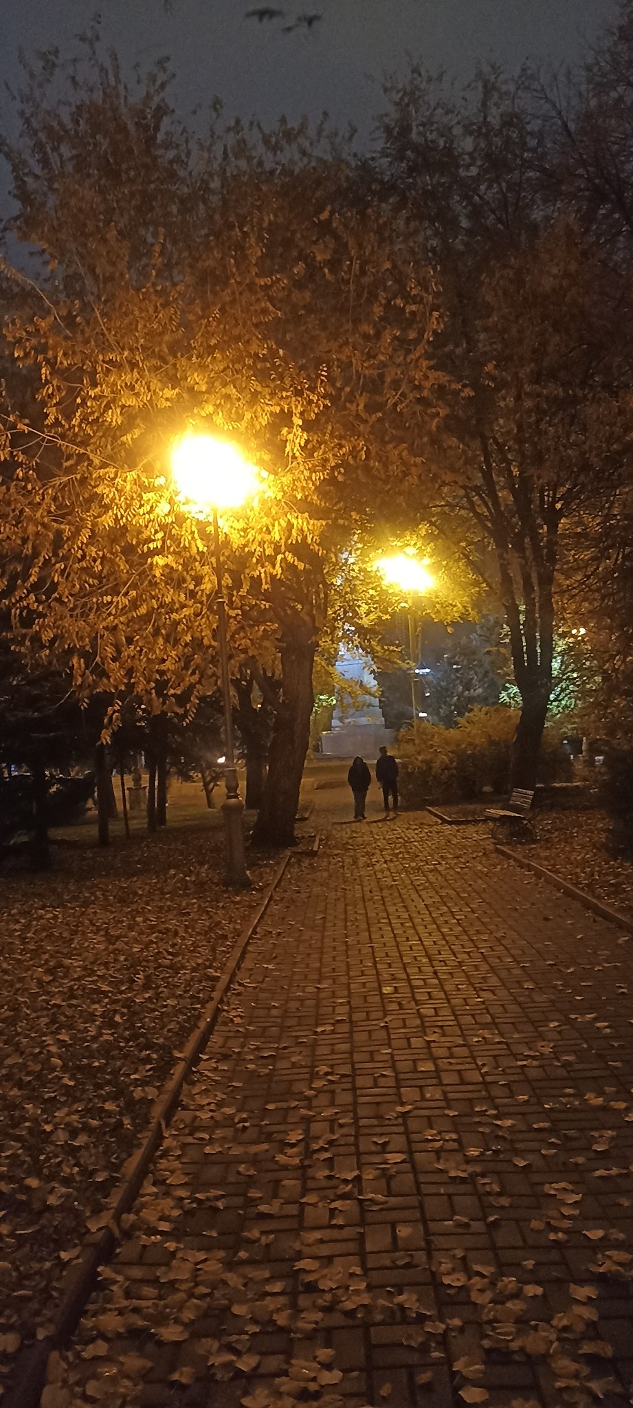  - 2  2023  22:52