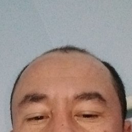 ����, ������, 41 ���