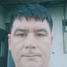 , 40, 