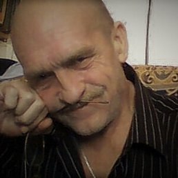 , 65, 