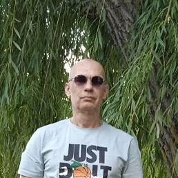 ���������, ����, 53 ����