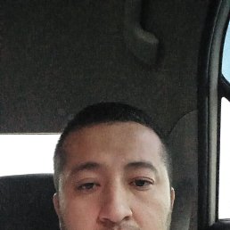 , 29, 