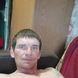 , 37, 