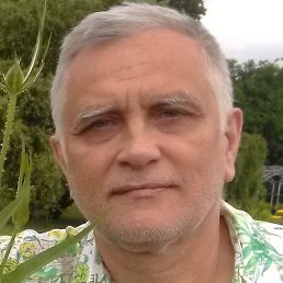 , 60 , 