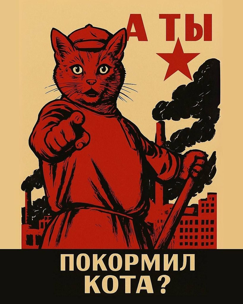   - 13  2025  22:51