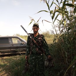 ������, 41 ���, ����