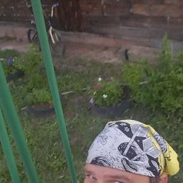�����, ������, 41 ���