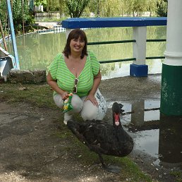 ���� ������, ������������, 64 ���� - ��������� 25 ������� 2025