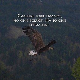 �������� ����, ������, 25 ���