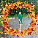 ���� ������� �����, ������, 41 ��� - ��������� 18 ������� 2025 � ������ ���� ����������