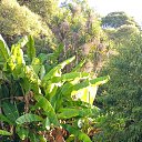  , , 58  -  15  2025     2025