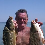 Vladimir, 66 ���, ������-��-����