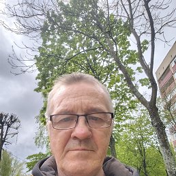 , 65, 