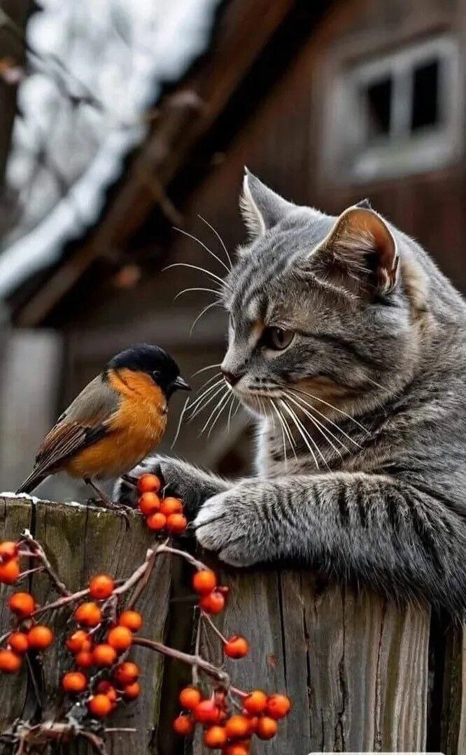 ... -    "  "...    ....