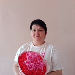 ��������, 44 ����, ���������