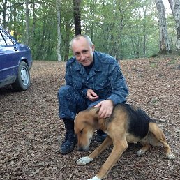 ������� ����������, ����������, 56 ���