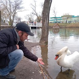 Aslan, �������, 43 ����