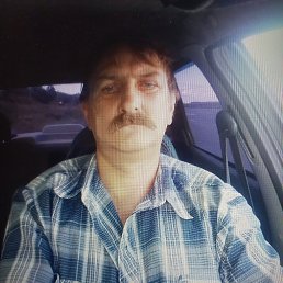 , 61, 