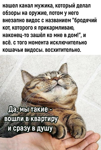  !!!      )