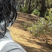 ��������, 36 ���, ����