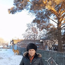 ���� ����, �����������, 74 ���� - ��������� 11 ������� 2025