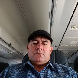 , 53 , 