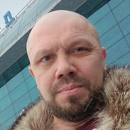 ������, ���������, 43 ����