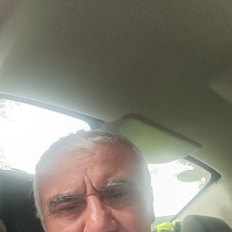, 61, 