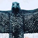 ���� �������, �����, 67 ��� - ��������� 27 ������� 2026 � ������ ���� ����������