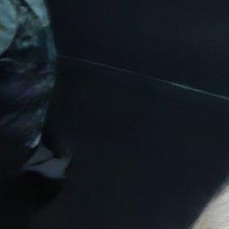 , , 49 