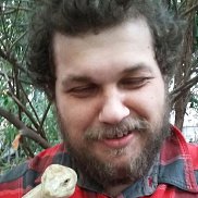 ������, 39 ���, ������