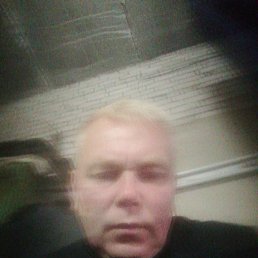 , 41, 