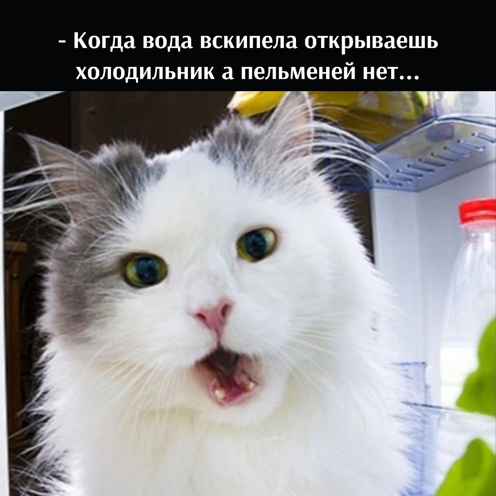 ��� ���� � ����� �� �� - 11 ����� 2026 � 18:00 - 4