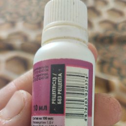 �����, ������, 36 ���