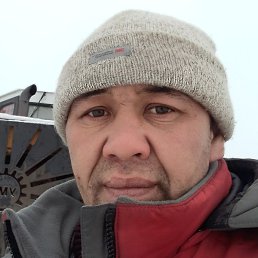 �����, ������, 39 ���