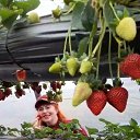 ���� Or, ������ - ��������� 21 �������� 2025