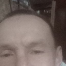 , 53, 