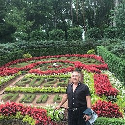 �����, ����������, 66 ���