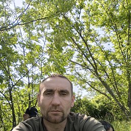 , 41, 