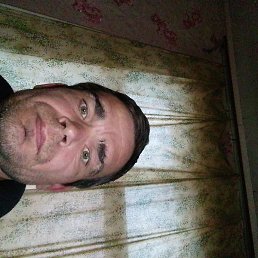 ����, ���������, 40 ���