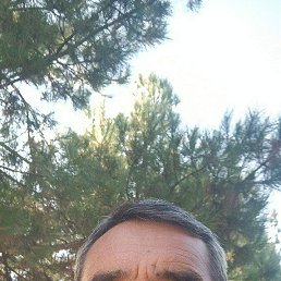  , 56, 