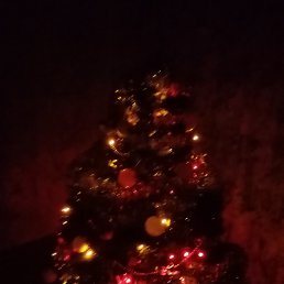 ���� �����, �������, 56 ��� - ��������� 29 ������� 2023