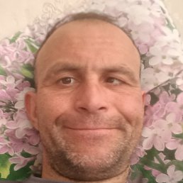 �����, ������, 67 ���